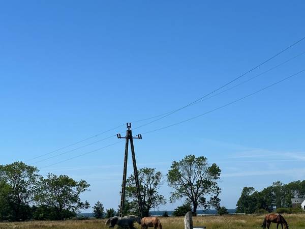 Domki Aurora klimatyzowane, z podgrzewanym basenem i zjeżdżalnią wodną
