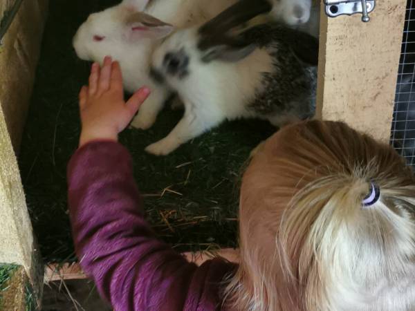 Domki w Górnym Końcu TERKA