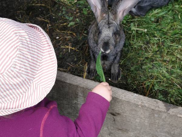 Domki w Górnym Końcu TERKA