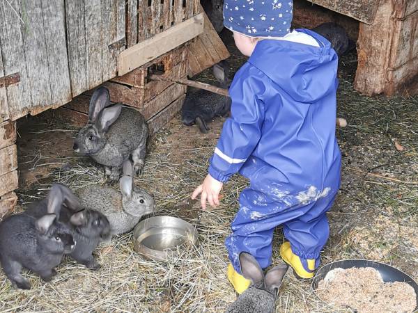 Domki w Górnym Końcu TERKA