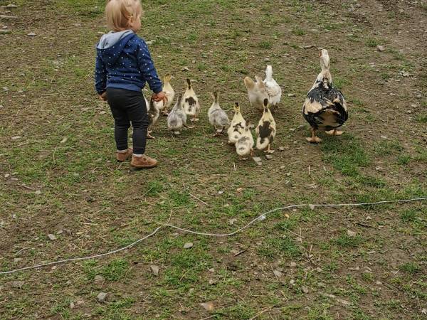 Domki w Górnym Końcu TERKA