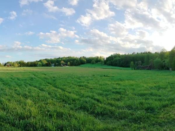 Gospodarstwo Pani Zofii