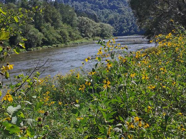 Domki w Górnym Końcu TERKA