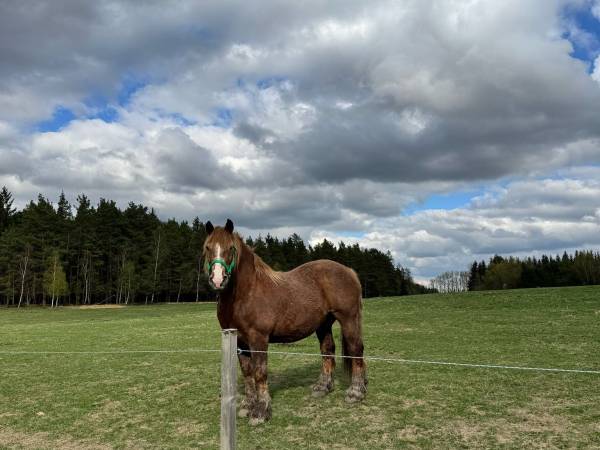 Noclegi Na Polnych Domach