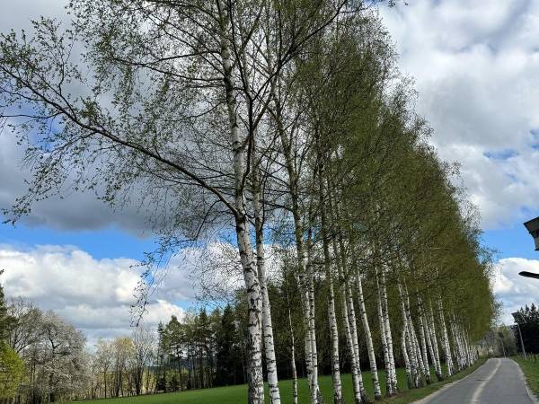 Noclegi Na Polnych Domach