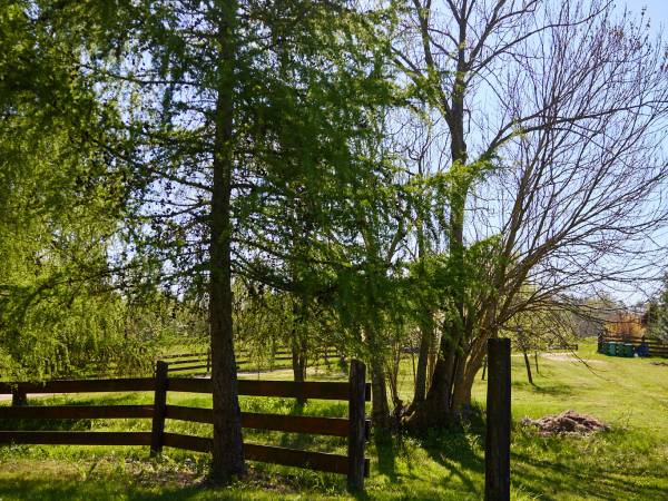Widok ze schodów Chaty Pruskiej