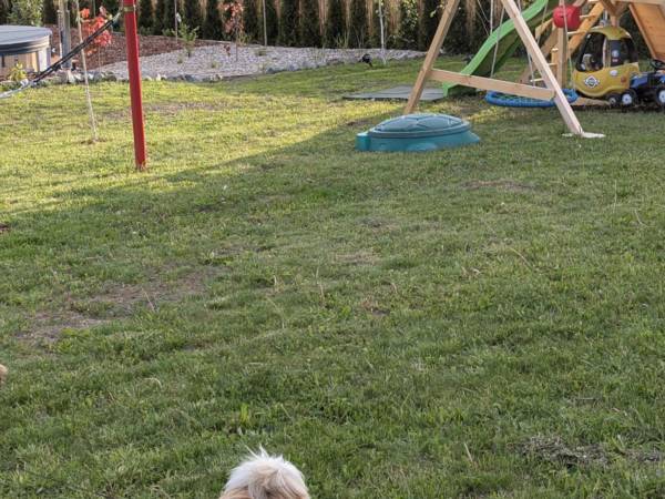 Domek Gruszkowy Wzorek Wola Kosnowa