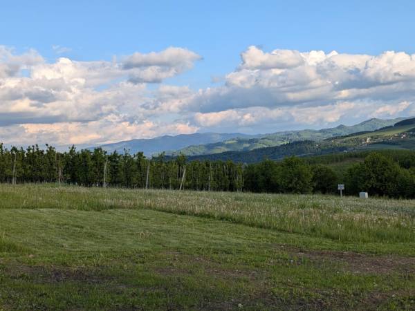 Domek Gruszkowy Wzorek Wola Kosnowa