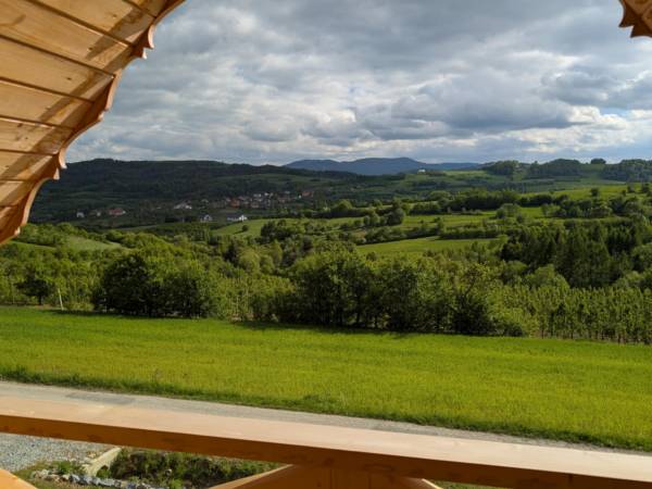 Domek Gruszkowy Wzorek Wola Kosnowa