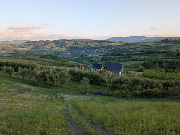 Domek Gruszkowy Wzorek Wola Kosnowa