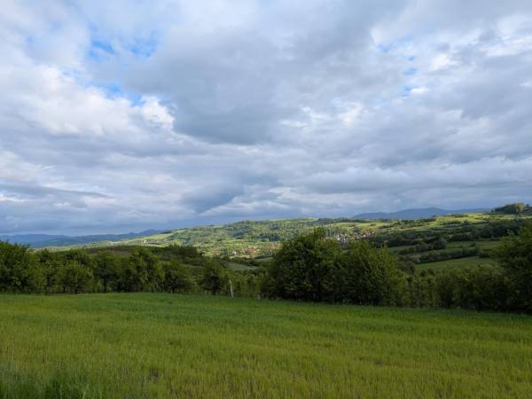 Domek Gruszkowy Wzorek Wola Kosnowa