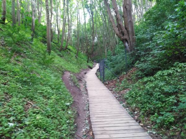 Leśny Zakątek z sauną, basenem i jacuzzi 