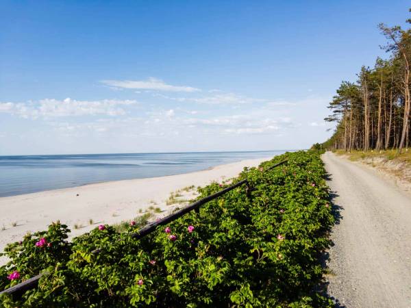 Pensjonat Baltic Willa