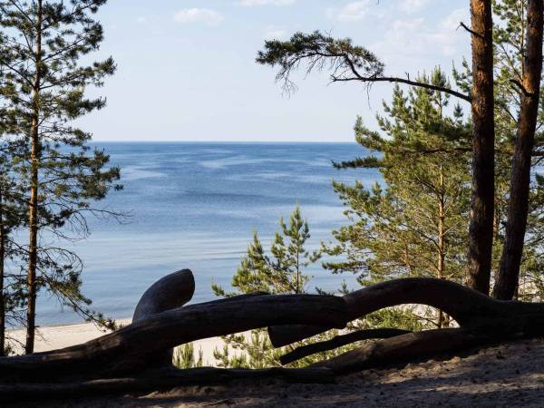 Pensjonat Baltic Willa