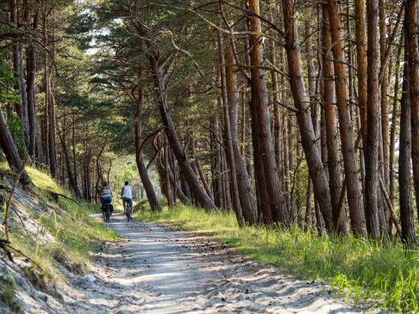 Pensjonat Baltic Willa