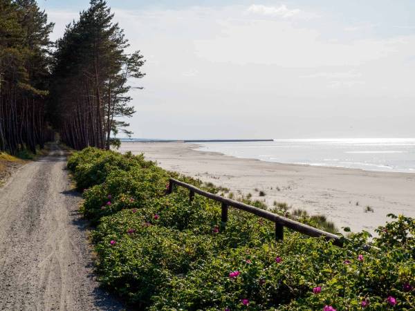 Pensjonat Baltic Willa