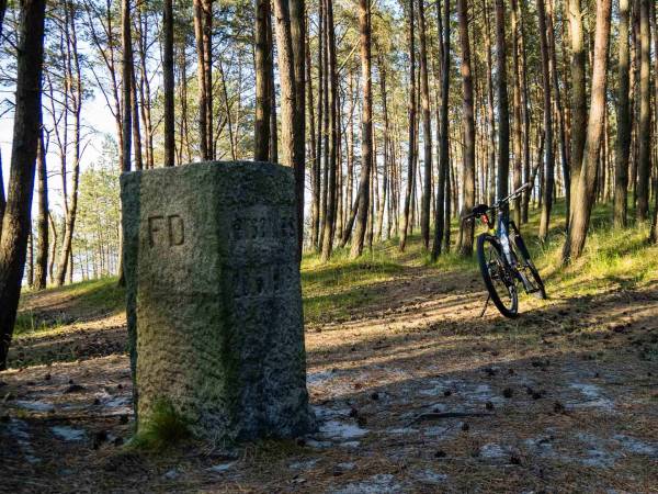 Pensjonat Baltic Willa