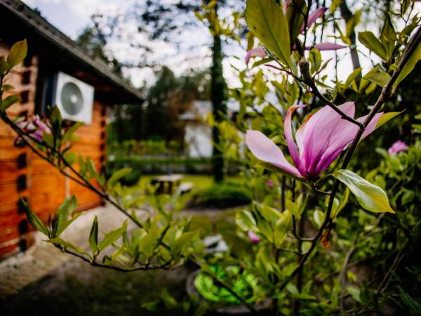 Domek na Świerkowej 