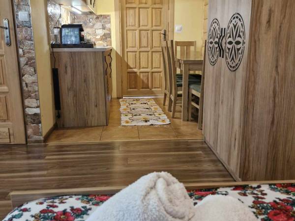 studio z aneksem kuchennym 