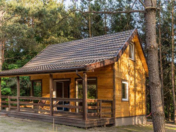 Zagajnik Białowieża