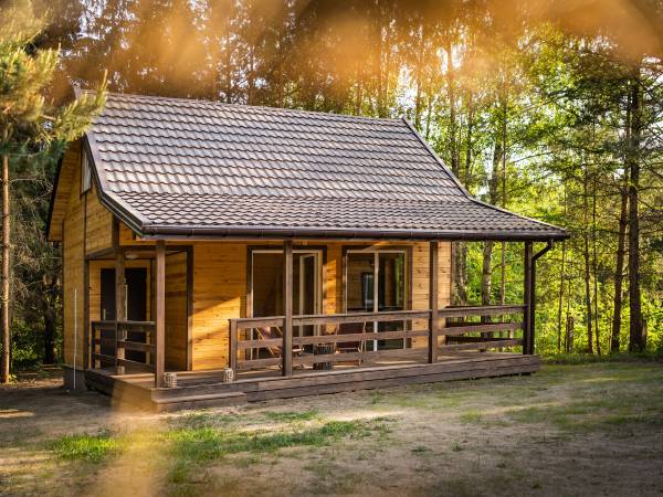 Zagajnik Białowieża