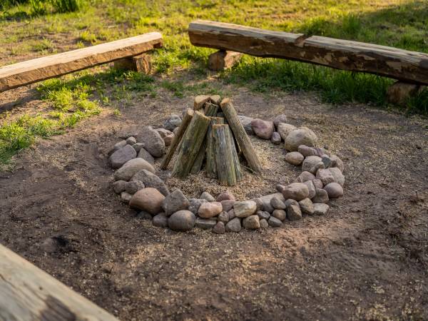 Zagajnik Białowieża