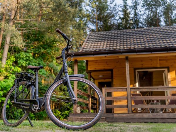 Zagajnik Białowieża