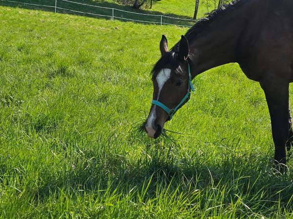 Słoneczne Podgórze