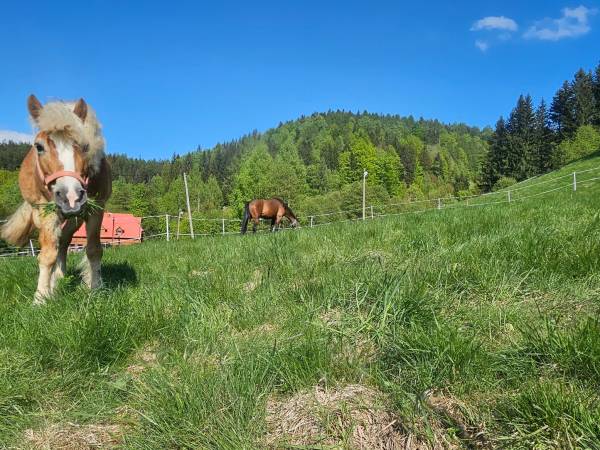 Słoneczne Podgórze
