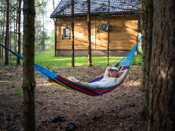 Zagajnik Białowieża