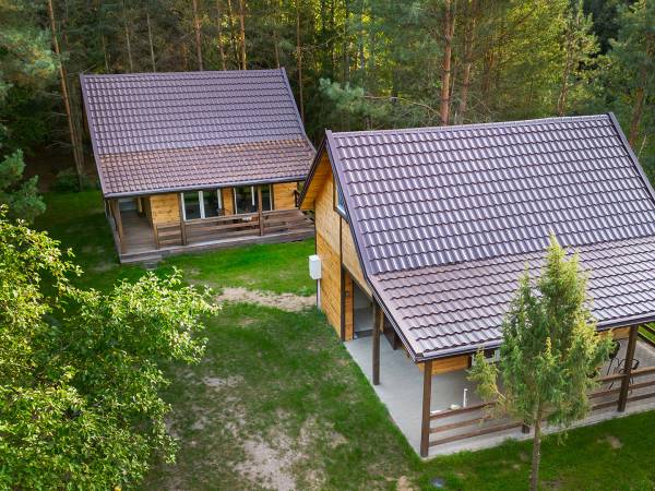 Zagajnik Białowieża