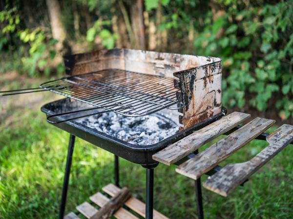 Zagajnik Białowieża