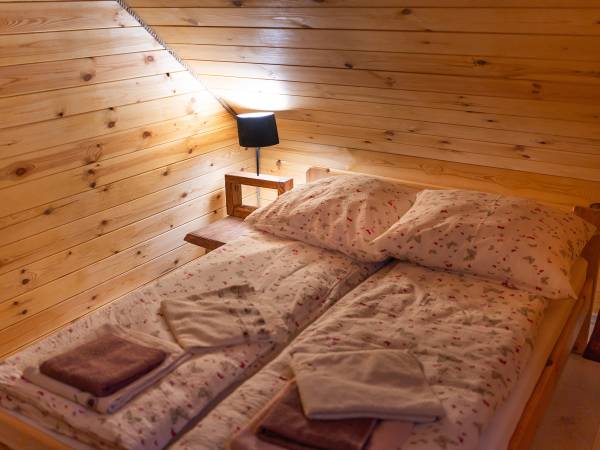 Zagajnik Białowieża