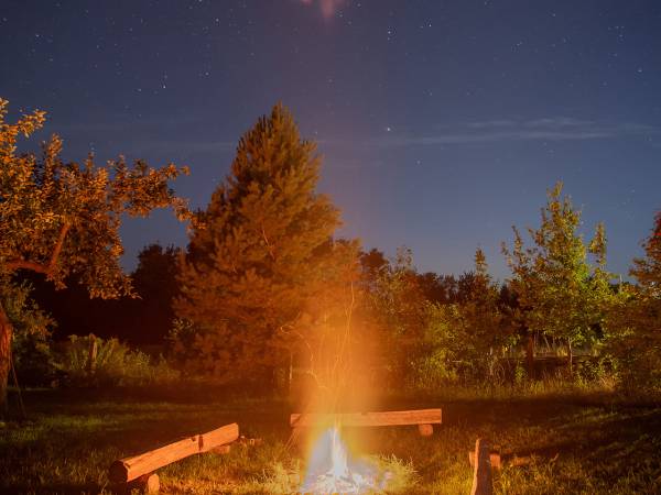 Zagajnik Białowieża