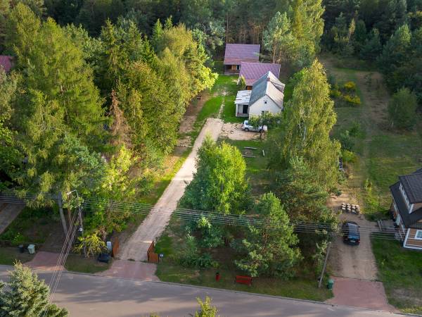 Zagajnik Białowieża