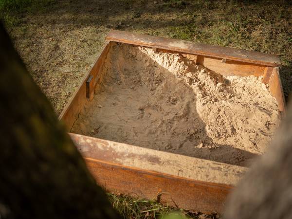 Zagajnik Białowieża