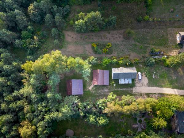 Zagajnik Białowieża