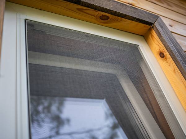 Zagajnik Białowieża