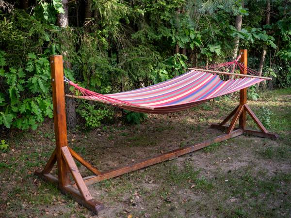 Zagajnik Białowieża