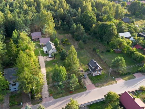 Zagajnik Białowieża