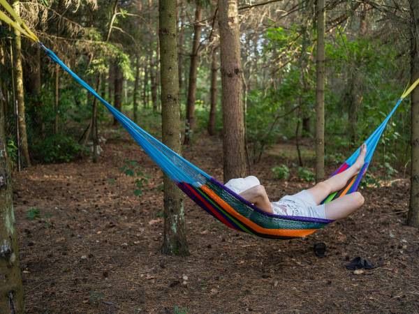 Zagajnik Białowieża