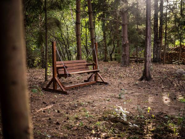 Zagajnik Białowieża