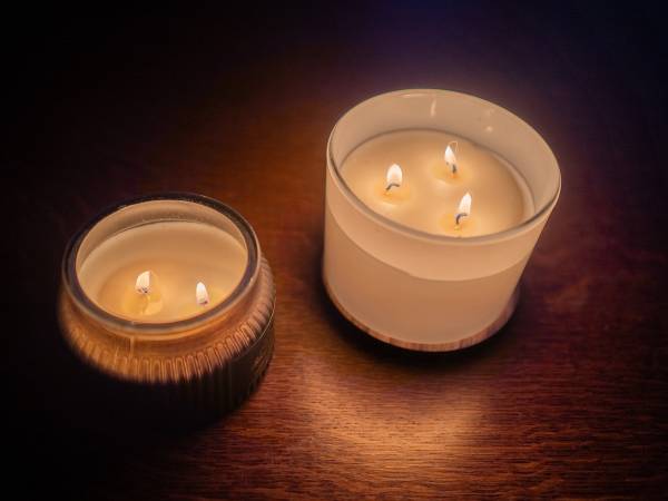 Zagajnik Białowieża