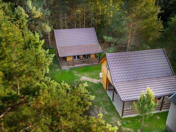 Zagajnik Białowieża