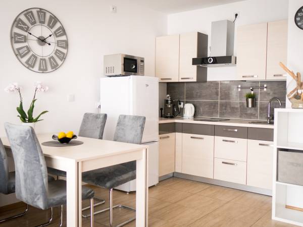 Apartament 1 aneks kuchenny