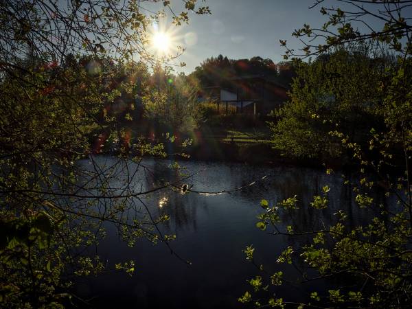 Rezerwat Wielin nad jeziorem (sauna, balia, jacuzzi, basen)