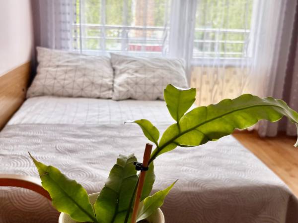 łóże małżenskie