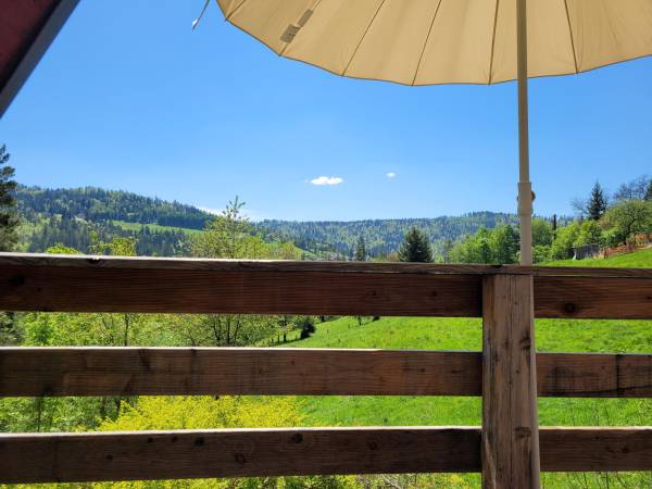 widok z tarasu domku