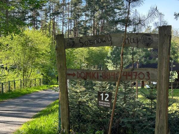 Sosnowy Raj