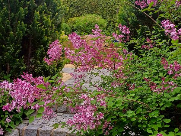 Apartament na Bursztynowej